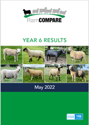 Cover - RamCompare Year Six results